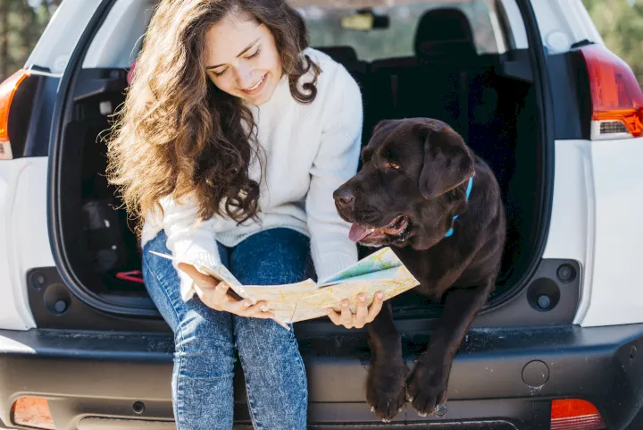 consejos para viajar con el perro en coche