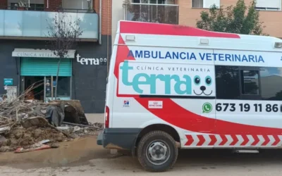 Una ambulancia medicalizada para ayudar con la DANA